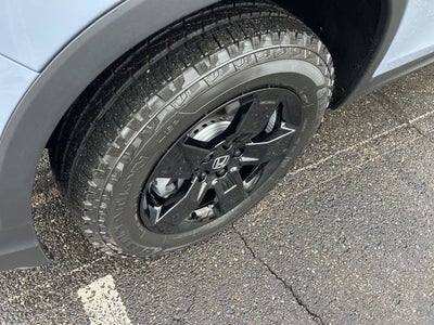 2025 Honda Ridgeline Black Edition