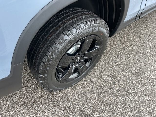 2025 Honda Ridgeline Black Edition