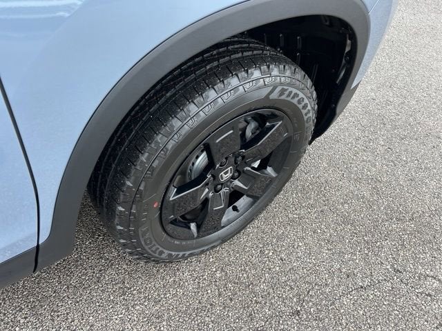 2025 Honda Ridgeline Black Edition